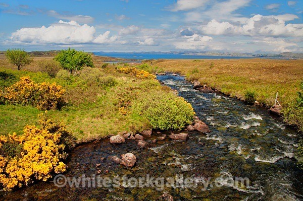 Achiltibuie Area Views - Scottish Highlands