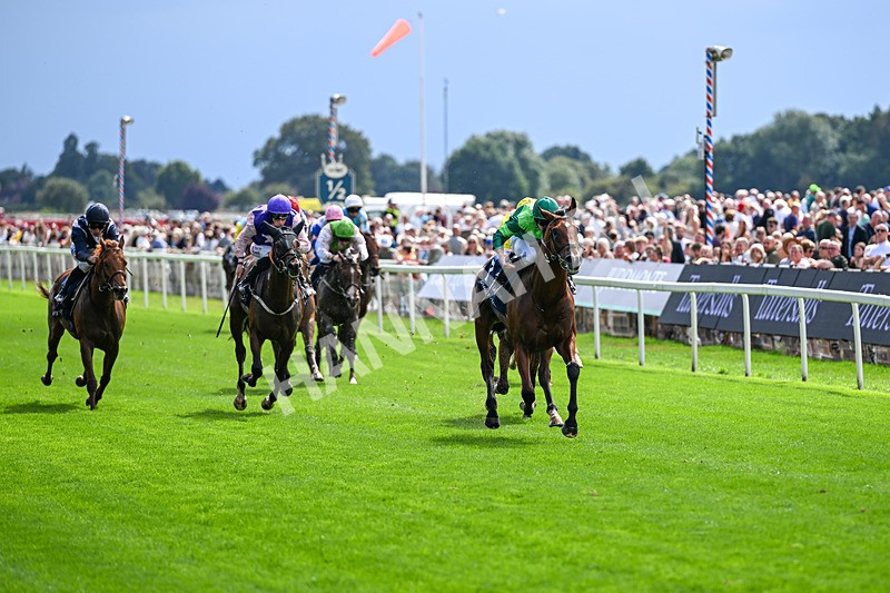 190826-Race 2-Haffner-0768 - Race 2 14.25pm Tattersalls Acomb Stakes