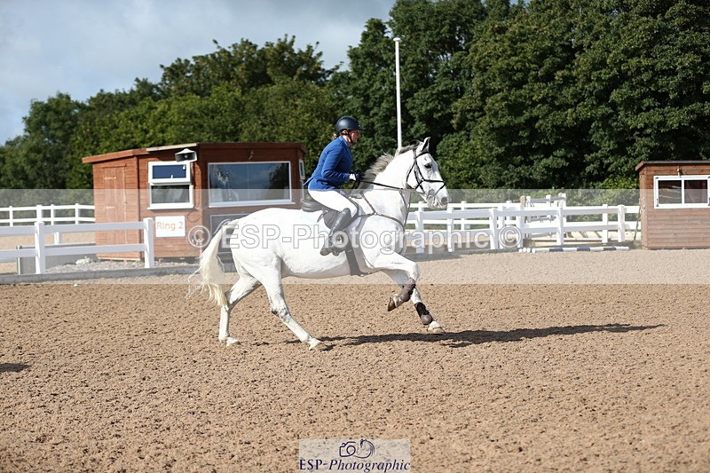 230811A-092802-02856 - Cls 13 A&B Snr Brit Nov & 90cm Open