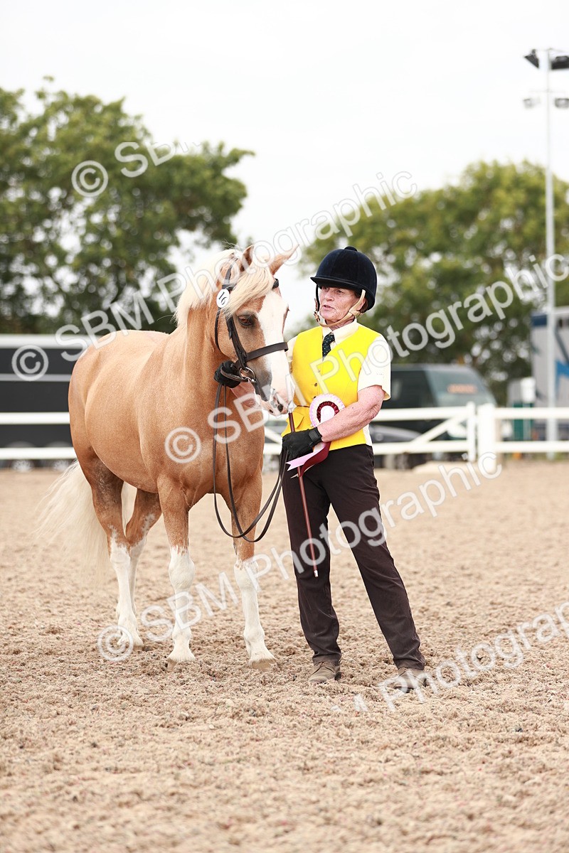 SBM_12564 - Class 207 IH M&M