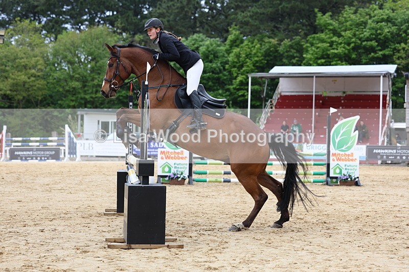 3E7A6047 - Class 4: Senior British Novice/90cm open