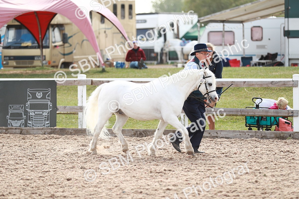 SBM_13878 - Class 209 IH Veteran Pony