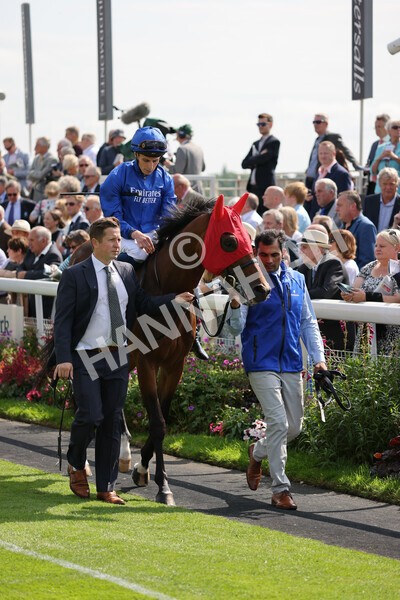 yr18082021r3-22 - Race 3 3.00pm Sky Bet Great Voltigeur Stakes