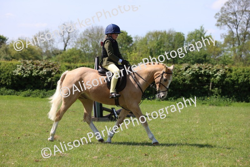 20250427-2532 - Class 19 - Mini Working Hunter