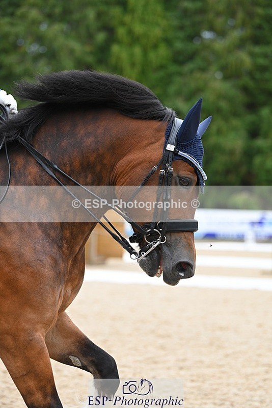 230813-142720-07764 - Cls 13 Medium Bronze 13.15 to End