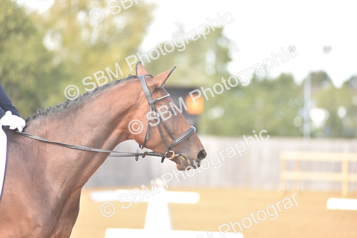 SBM_48839 - D22 - Junior Championship Intro 3