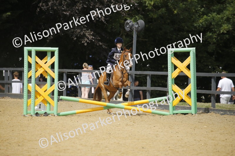 20250622-3998 - 50cm