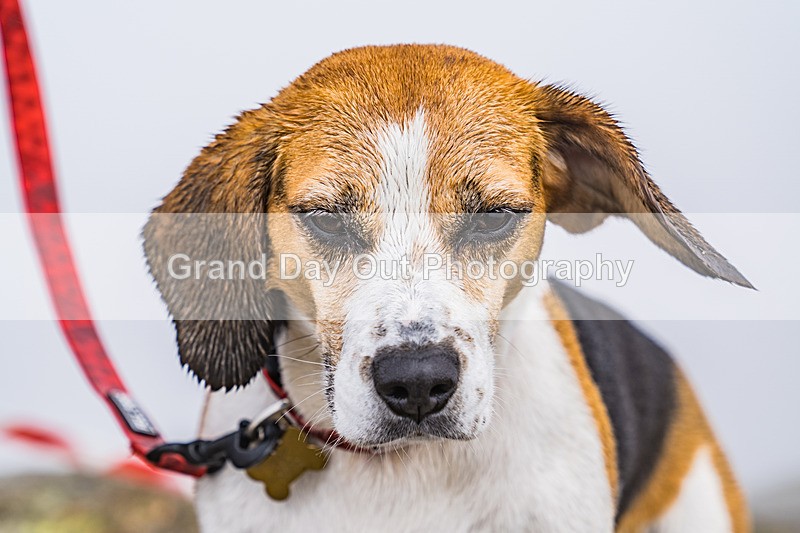 Great Lakes-376 - Great Lakes Fell Race Saturday 29th June 2024