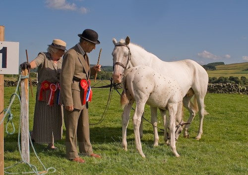 182 - Moniaive Horse Show 2008