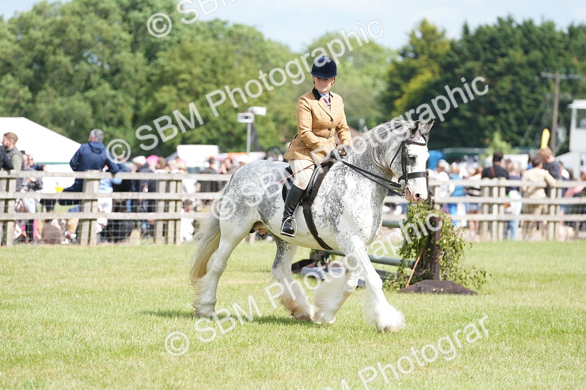 SBM_17259 - Class 107-108 - LIHS BSPS Performance Coloured Horse Pony