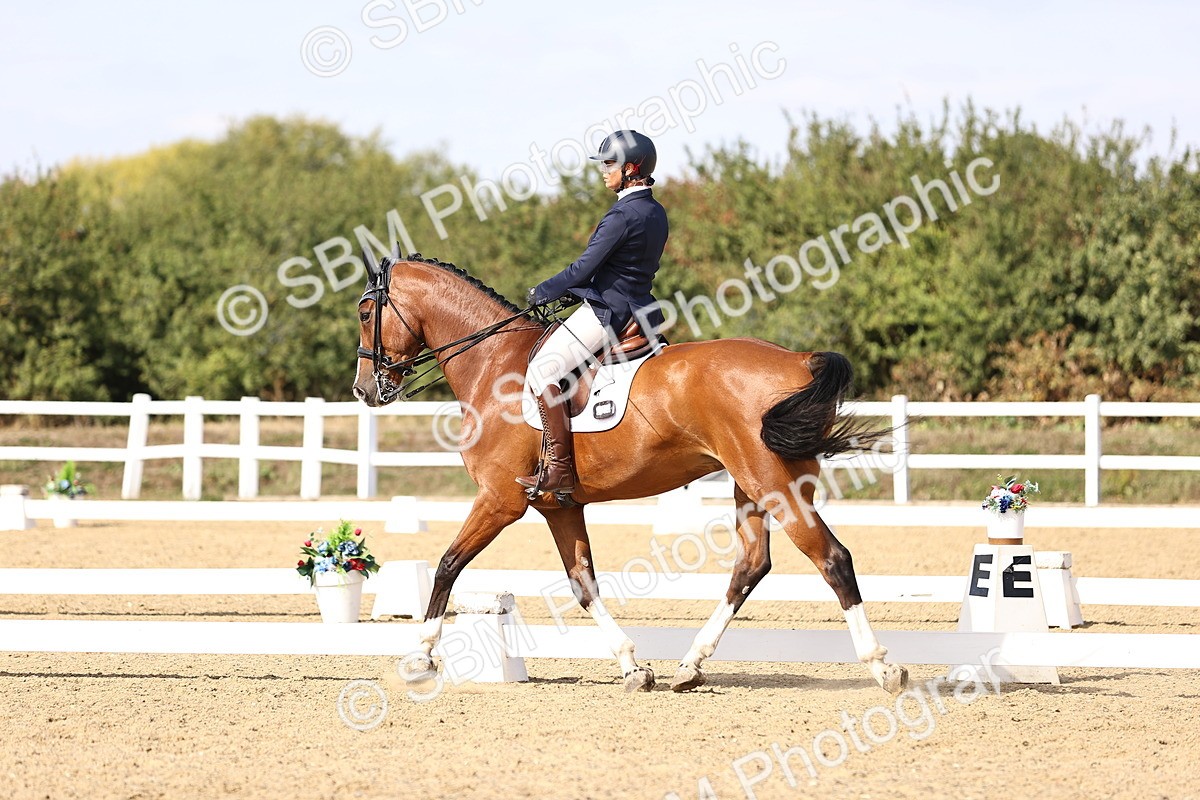 SBM_015198 - Class 8 - Medium 5