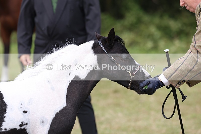 3E7A4222 - Class 15: Two Year Olds