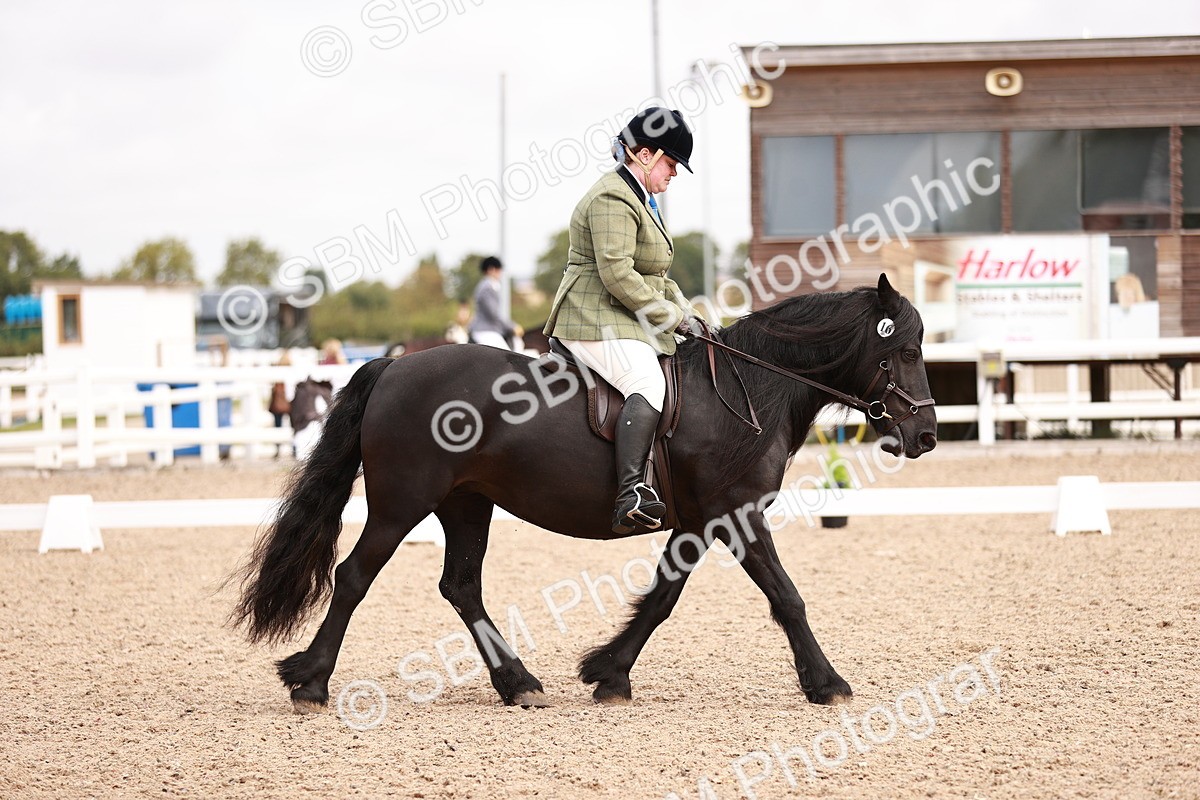 SBM_02456 - Class 35 - Intro 3