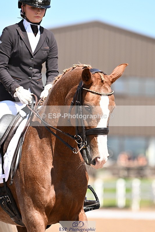 240816A-132103-05035 - 113-Ruby.Gumbley-Nova's.Golden.Dream