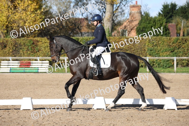 20251102-0992 - Class 5 - Elementary 5