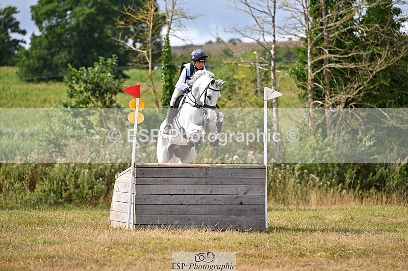 250803A-154700-16100 - O-685-Kitty.King-COOLEY.HOT.SOCKS