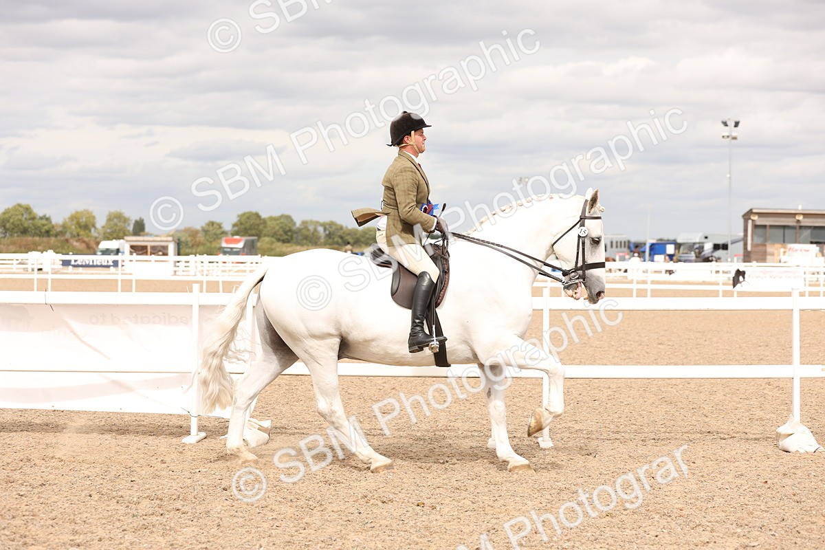 SBM_17287 - Class 213 - Ridden Hunter - Large