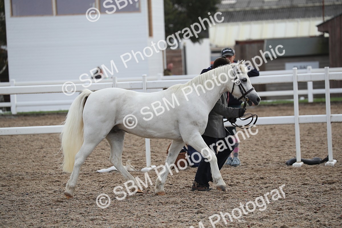 SBM_23107 - Class 605 - 2025 Area - IH Veteran