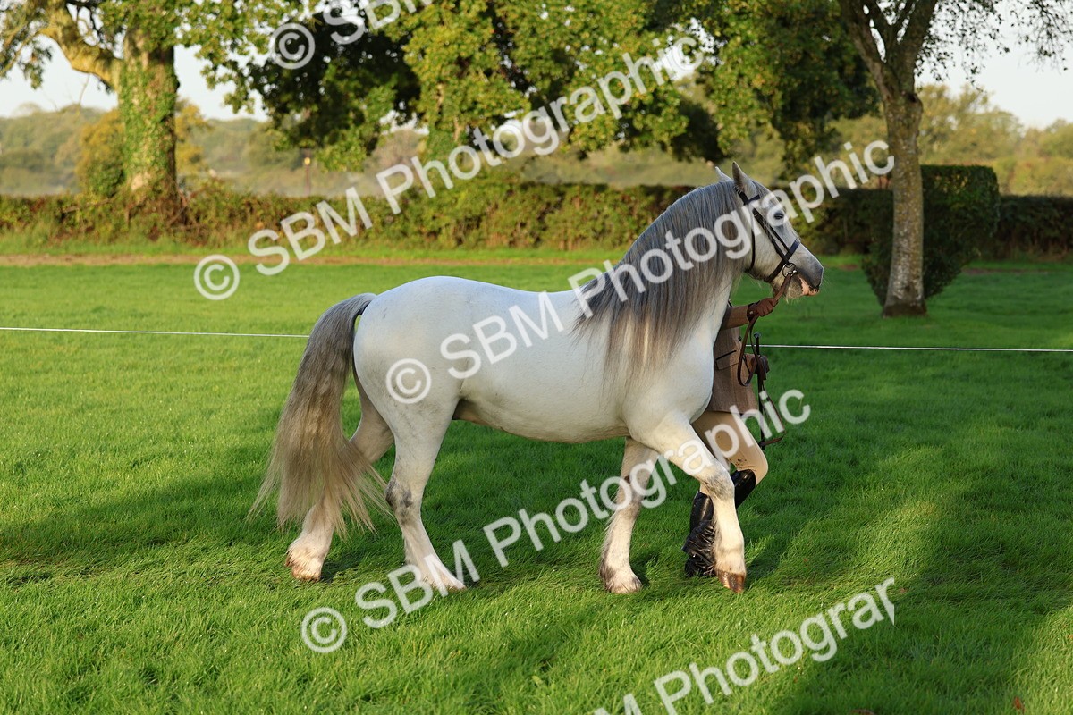 SBM_32749 - S8 - Best Turned Out