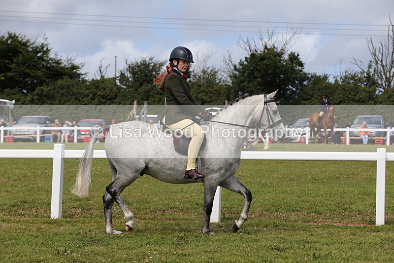1X9A3944 - Class 32: Show Hunter Pony 153cm and under