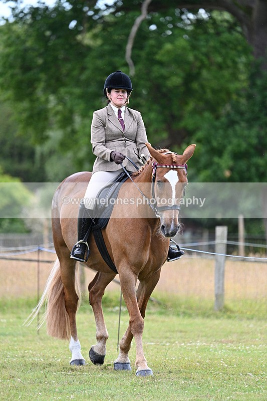 WJ7_8959 - Class 8 Ridden Veterans