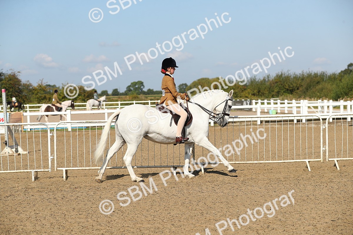SBM_02225 - Class 43 Ridden Competition Horse/Pony
