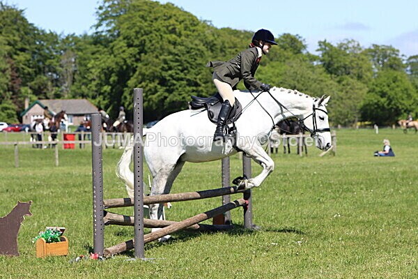 IMG_3960 - Working Hunter