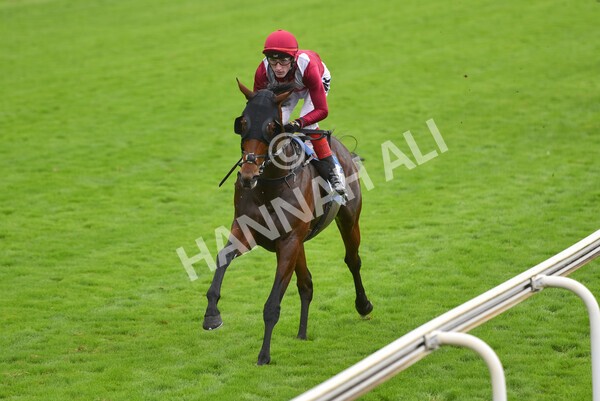 yr24092021r5-27 - Race 5 3.50pm William Hill Leading On Course Bookmaker Stakes