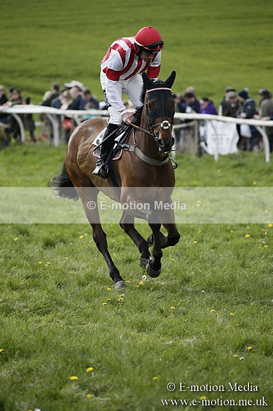 PtP 170417 420 - Old Berks Point-to-Point Lockinge 17/04/17