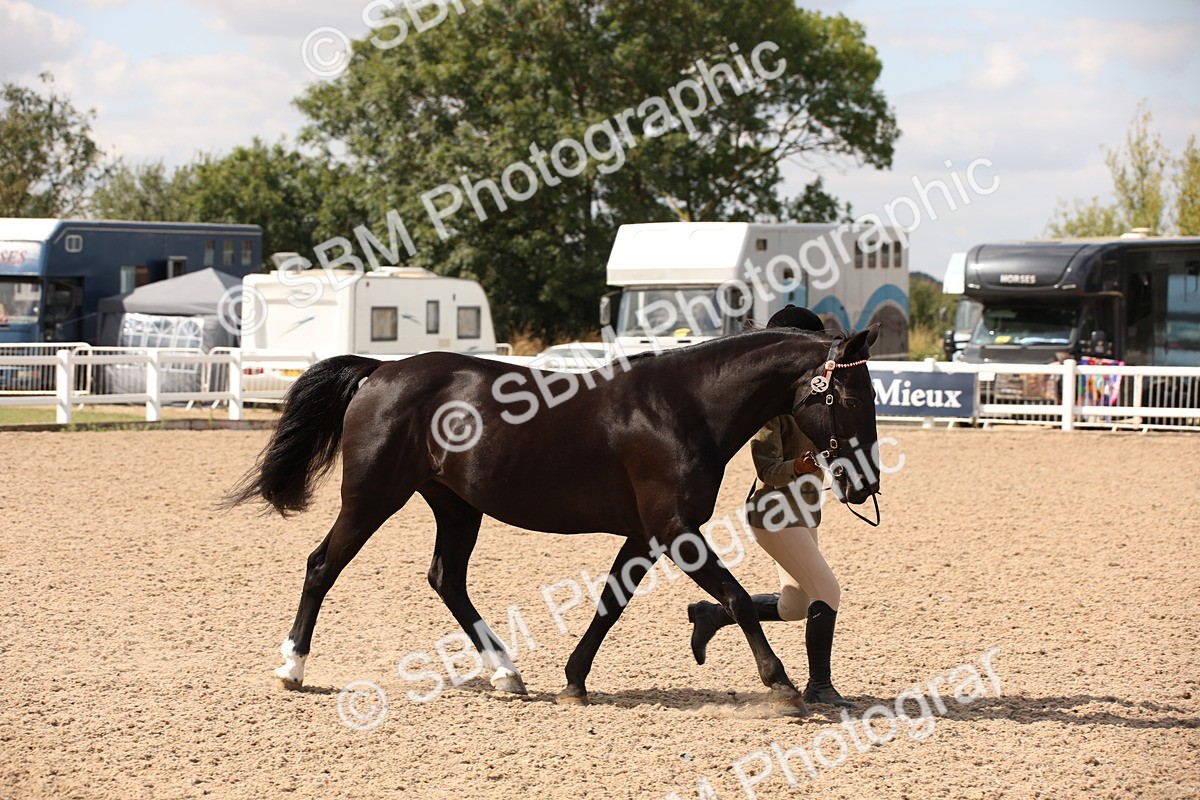 SBM_04555 - Class 20 IH Veteran