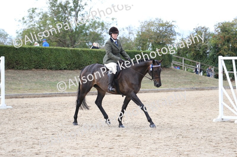 20260831-2617 - Class 15 - Ridden Retraining of Racehorses