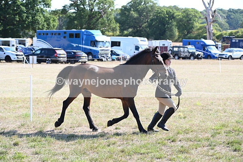 WJ6_7539 - Class 34 Judges Choice