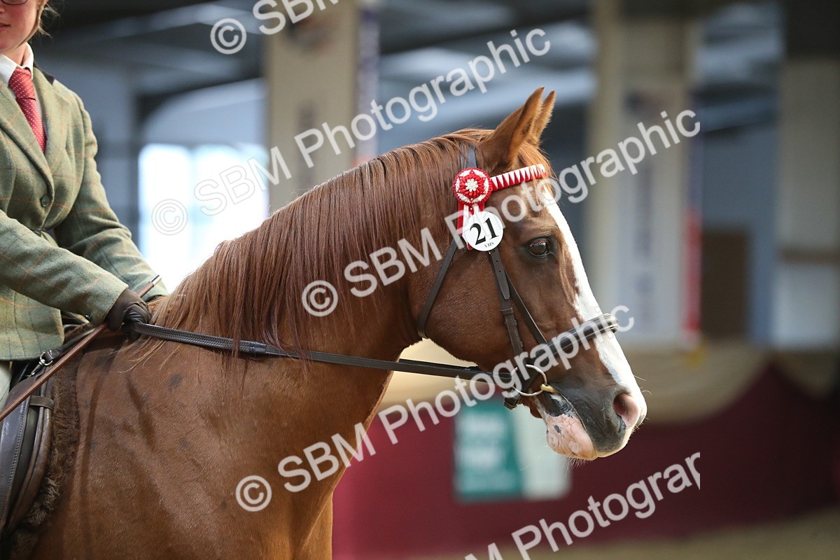 SBM_08374 - Class 11R Regional Ridden Veteran