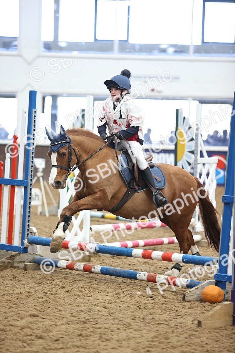 SBM_000648 - Class 2 - Show Jumping 50cm