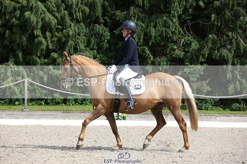 230811-151822-02422 - Cls 1 Prelim Bronze 15.00 to End