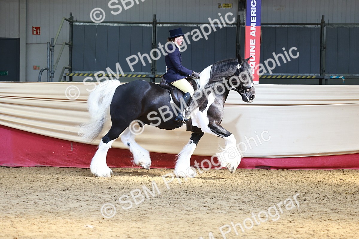 SBM_23302 - class 906 - Supreme Final - Ridden Pre Vet