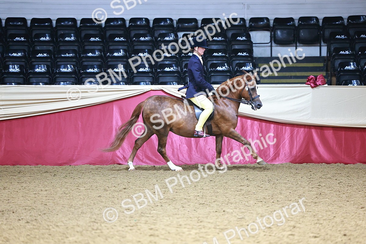 SBM_23329 - Class 904 - Supreme Final - Ridden Diamond