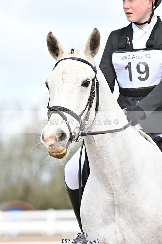 240324A-112925-01208 - Prelim 13