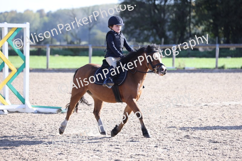 20251005-0008 - Class 1 - 40cm