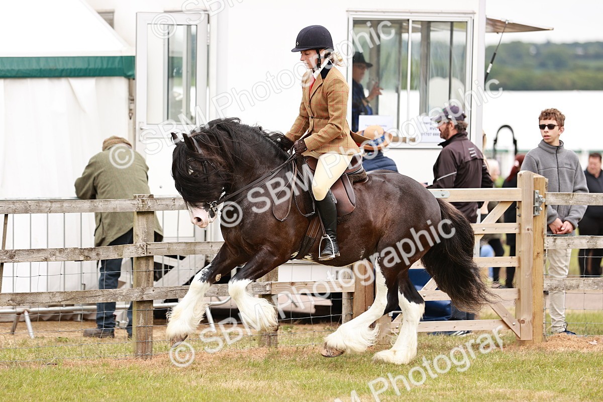 SBM_06164 - Class 39-41 TGCA In Hand and Ridden