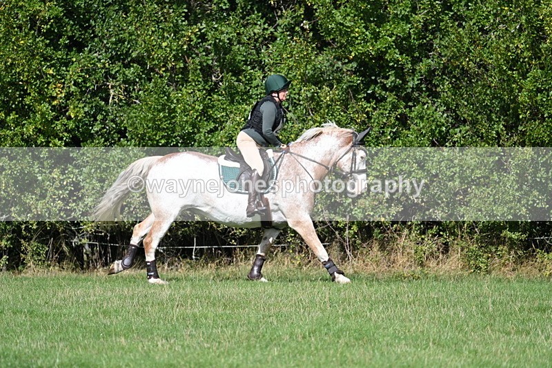 WJ7_9008 - Time 11:10 to 11:53