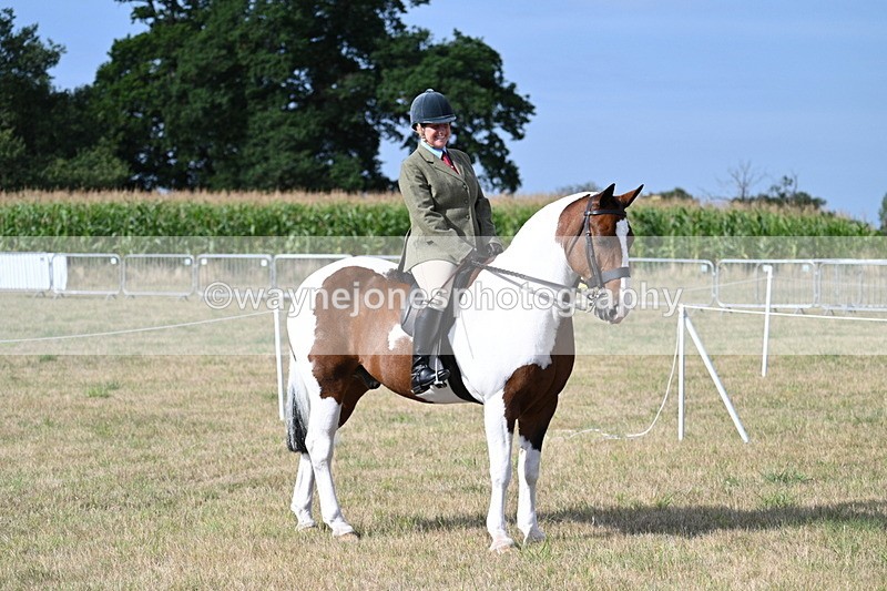 WJ7_2611 - Class 8 Ridden Tack & Turnout