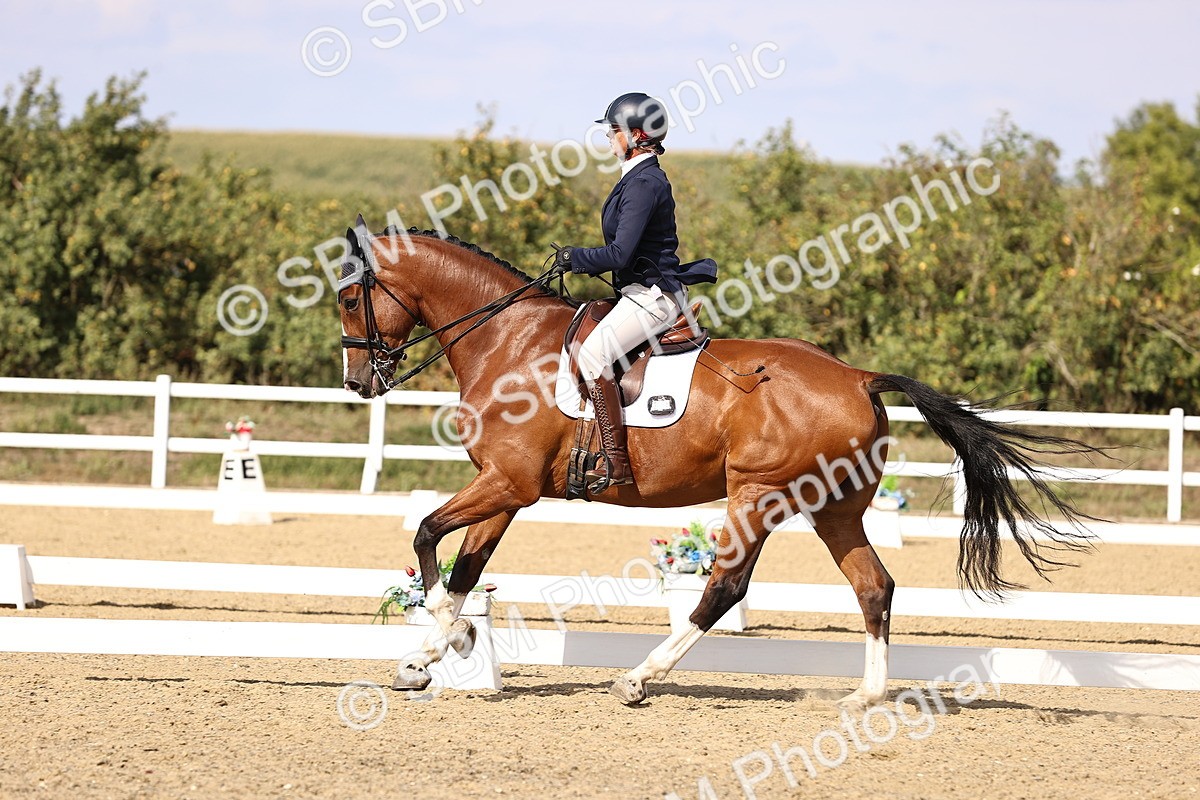 SBM_015206 - Class 8 - Medium 5