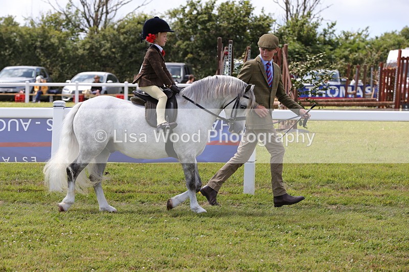 1X9A5098 - Class 36: NPS M&M Lead Rein