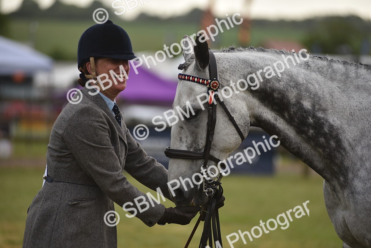SBM_10660 - Class 109 - Retraining of Racehorses in Hand