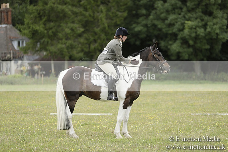 BVR160717-1183 - Class 2 Dressage 16/07/17