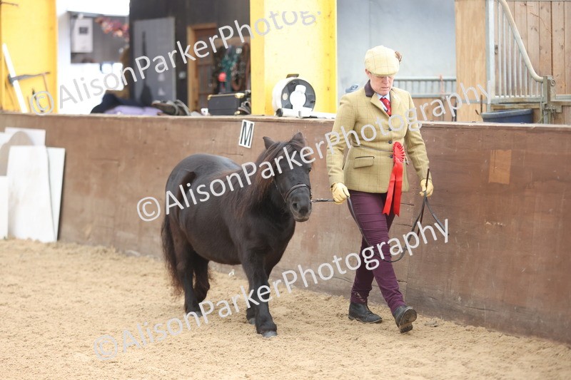 20251109-0113 - Championship