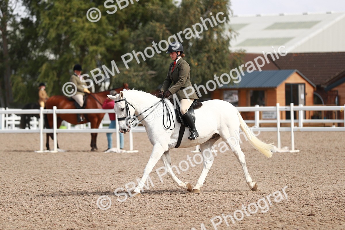 SBM_14890 - Class 212 Ridden Hunter - Small