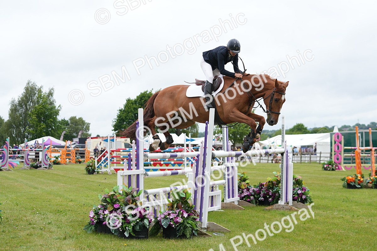 SBM_02993 - Class 201 - British Horse Feeds Speedi Beet Horse of the Year Show Grade  C