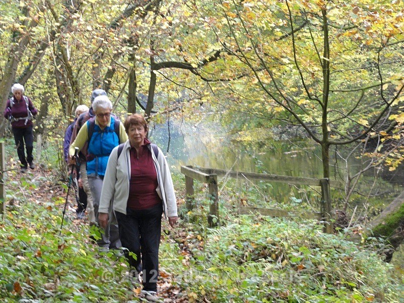 038 With sunshine and sparkling ripples. - Third Saturday Walks Collection Two.